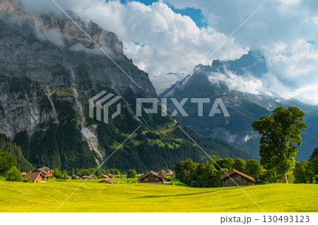 Majestic mountains rise in the background as quaint wooden cabins dot green landscape. A winding path guides a visitor through this serene Swiss alps. Grindelwald Jungfrau Bernese alps Switzerland. 130493123
