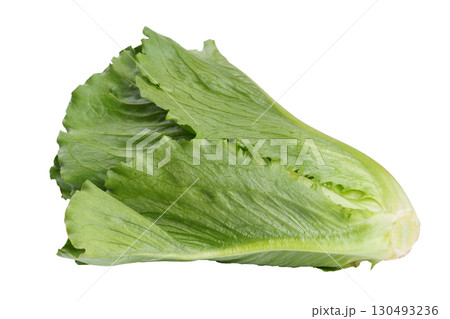 Whole fresh romaine salad, lettuce head isolated on white background, healthy raw leafy vegetable Whole fresh romaine salad, lettuce head isolated on white background, healthy raw leafy vegetable 130493236