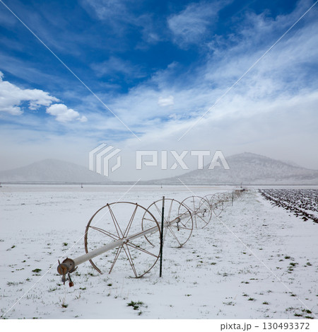 Cereal fields with irrigation wheels with snow in Nevada 130493372