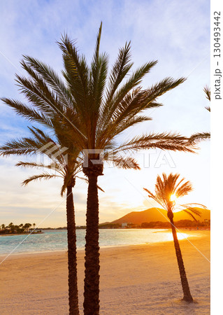 Alcudia Majorca at sunset on the beach Mallorca 130493442