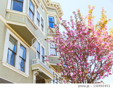San Francisco Victorian houses California 130493451
