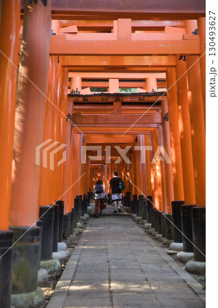 お稲荷さん伏見稲荷大社　木漏れ日が美しい千本鳥居9 130493627