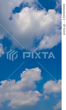 空素材（縦構図） 130494068