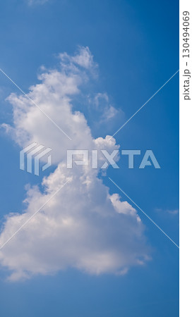 空素材（縦構図） 130494069