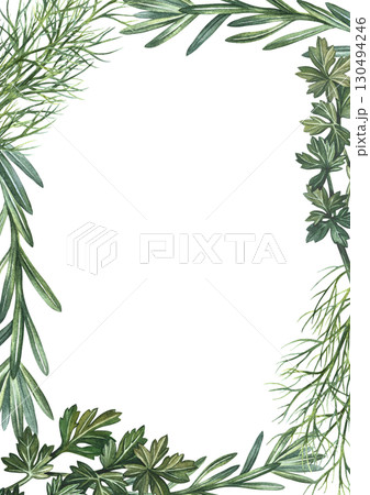 Vertical frame with herbs, rosemary, dill, and parsley. Hand-drawn watercolor illustration. Image of herbs. Perfect for menus, recipe books, packaging, labels, and more. Vertical frame with herbs, rosemary, dill, and parsley. Hand-drawn watercolor illustration. Image of herbs. Perfect for menus, recipe books, packaging, labels, and more. 130494246