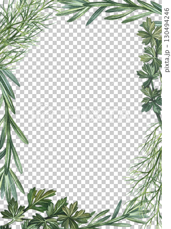 Vertical frame with herbs, rosemary, dill, and parsley. Hand-drawn watercolor illustration. Image of herbs. Perfect for menus, recipe books, packaging, labels, and more. Vertical frame with herbs, rosemary, dill, and parsley. Hand-drawn watercolor illustration. Image of herbs. Perfect for menus, recipe books, packaging, labels, and more. 130494246