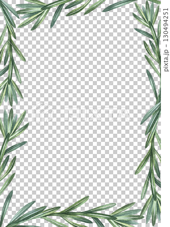 Vertical frame with sprigs of spicy rosemary. Hand-drawn watercolor illustration. Image of spicy greens. Perfect for menus, recipe books, packaging, labels, and more. 130494251