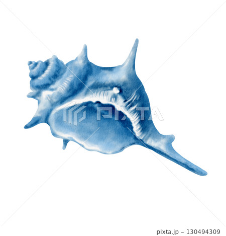 A twisted spiky seashell in monochrome blue watercolor.Illustration with fluid washes and delicate ink lines,capturing its textured form.For marine themes parties,coastal designs,nautical branding 130494309