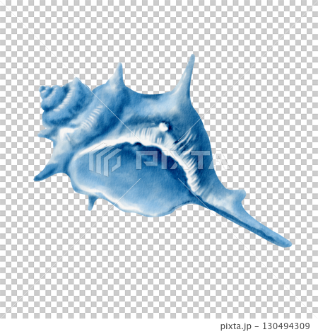 A twisted spiky seashell in monochrome blue watercolor.Illustration with fluid washes and delicate ink lines,capturing its textured form.For marine themes parties,coastal designs,nautical branding 130494309