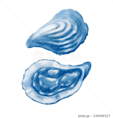 Oyster shells reveal their pearlescent inner and textured outer forms in a serene blue watercolor study.Monochrome illustration for coastal and marine themes,fish restaurant design projects 130494327