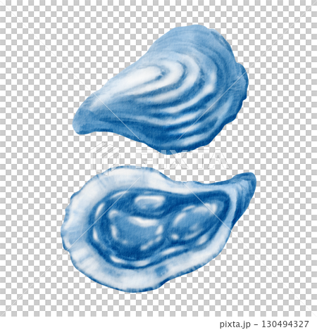 Oyster shells reveal their pearlescent inner and textured outer forms in a serene blue watercolor study.Monochrome illustration for coastal and marine themes,fish restaurant design projects 130494327