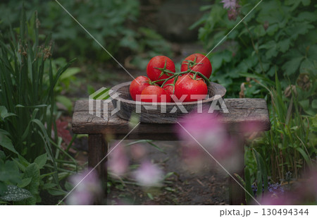Tomatoes in a wooden bowl on wooden background.Tomatoes on a wooden surface. Cottage core style aesthetic 130494344