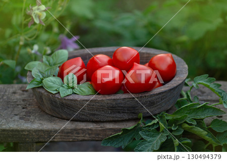 Pepper shape red tomatoes in a wooden bowl. Harvested red tomatoes on garden wooden table. Pepper shape red tomatoes in a wooden bowl. Harvested red tomatoes on garden wooden table. 130494379