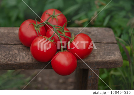 Fresh round red tomatoes on rustic wooden background. Fresh ripe organic garden tomatoes on wooden table. Fresh round red tomatoes on rustic wooden background. Fresh ripe organic garden tomatoes on wooden table. 130494530