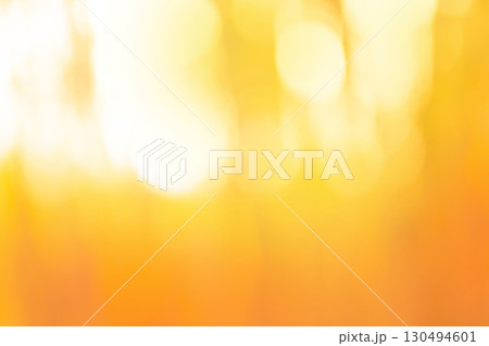 Bokeh defocused honey mead yellow orange color shimmering abstract background 130494601
