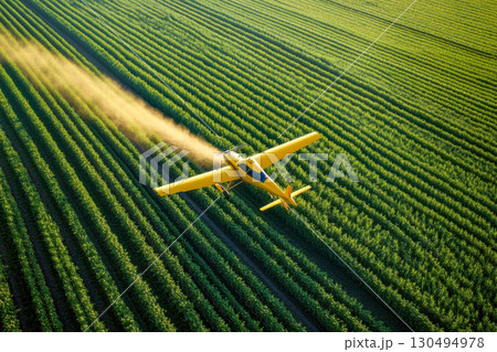 Aerial view of yellow crop duster plane flying over vast green farm fields, spraying a thick dust cloud over rows of healthy crops. 130494978