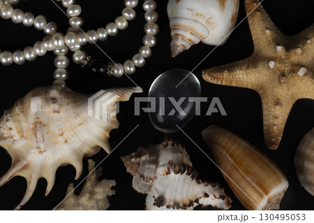Beautiful seashells with white pearls on a black background. 130495053