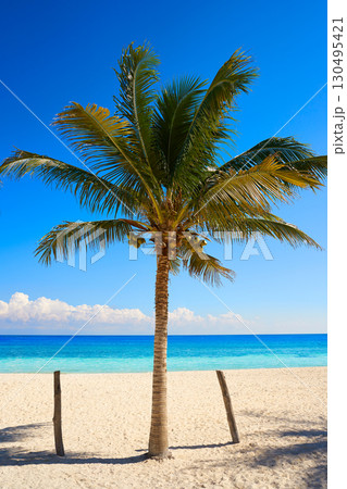 Puerto Morelos beach in Riviera Maya 130495421