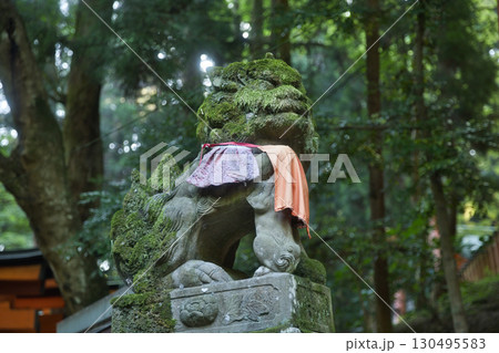 お稲荷さん　伏見稲荷大社　苔むした狛犬さん（吽形） 130495583