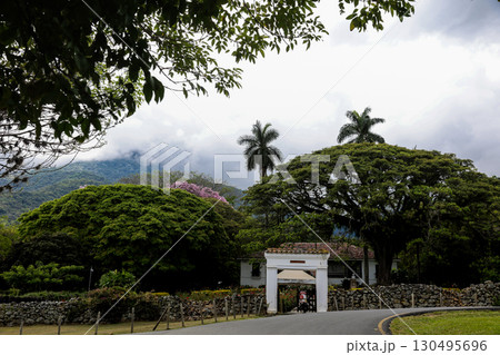 View of the beautiful antique farms on the fertile lands of the Valle del Cauca region in Colombia. View of the beautiful antique farms on the fertile lands of the Valle del Cauca region in Colombia. 130495696