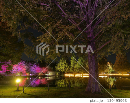 秋の七北田公園(泉ヶ池)【宮城県仙台市】 秋の七北田公園(泉ヶ池)【宮城県仙台市】 130495968