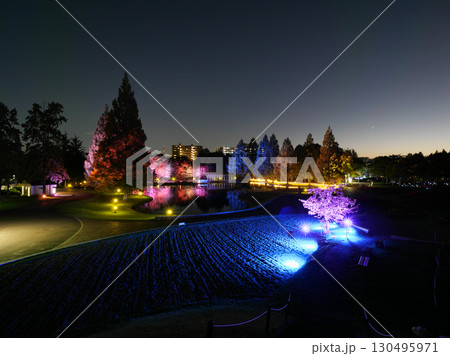 秋の七北田公園（宮城県仙台市） 130495971