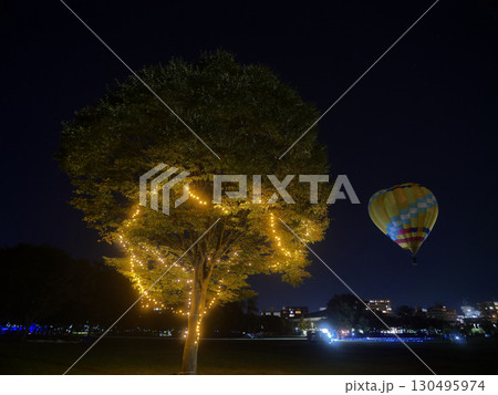 秋の七北田公園（宮城県仙台市） 130495974