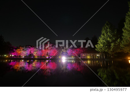 秋の七北田公園(泉ヶ池)【宮城県仙台市】 秋の七北田公園(泉ヶ池)【宮城県仙台市】 130495977