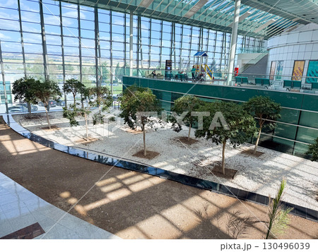 Indoor trees with gravel ground and natural sunlight inside a modern airport. Architecture, ecology, and integration of green landscape with passenger waiting spaces. 130496039