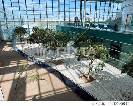Courtyard with trees and gravel ground inside a modern glass terminal. Ecology, architecture, and balance of natural greenery with structural airport environment. Courtyard with trees and gravel ground inside a modern glass terminal. Ecology, architecture, and balance of natural greenery with structural airport environment. 130496042