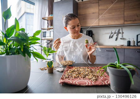 Young woman looking at small cacti while planning the arrangement of a future terrarium. Concept of creative thinking, eco-friendly design and mindful connection with nature. Young woman looking at small cacti while planning the arrangement of a future terrarium. Concept of creative thinking, eco-friendly design and mindful connection with nature. 130496126