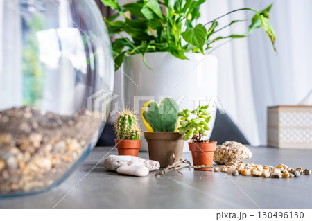 Close up view of natural materials and decorative elements prepared for creating a closed florarium or glass ecosystem. Concept of DIY plant design, eco-conscious living and creative home projects. Close up view of natural materials and decorative elements prepared for creating a closed florarium or glass ecosystem. Concept of DIY plant design, eco-conscious living and creative home projects. 130496130