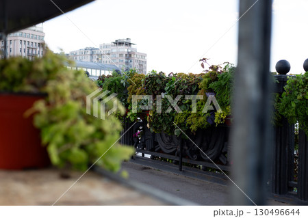Bridge railing adorned with lush greenery and fresh potted plant on shelf, symbolizing urban beautification and community involvement in creating sustainable, green cities Bridge railing adorned with lush greenery and fresh potted plant on shelf, symbolizing urban beautification and community involvement in creating sustainable, green cities 130496644