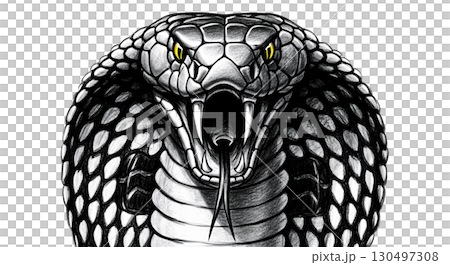 A cobra snake displays an intense and menacing posture, featuring intricate scales and brightly colored eyes. This isolated figure captures the beauty and danger of this distinct species. A cobra snake displays an intense and menacing posture, featuring intricate scales and brightly colored eyes. This isolated figure captures the beauty and danger of this distinct species. 130497308