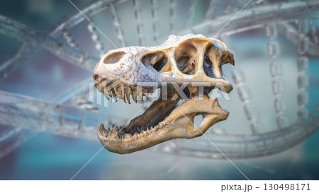 The T rex Skull for Education or sci concept 3d Rendering. The T rex Skull for Education or sci concept 3d Rendering. 130498171
