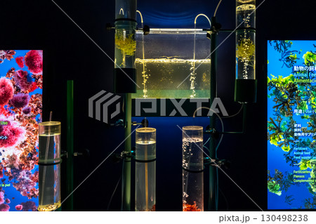 大阪万博 スペイン館 大阪万博 スペイン館 130498238