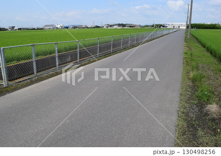 舗装された農道と田園風景 舗装された農道と田園風景 130498256