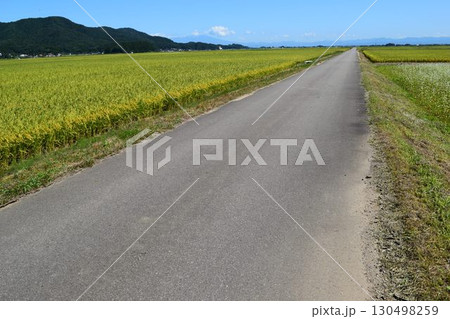 舗装された農道と田園風景 130498259