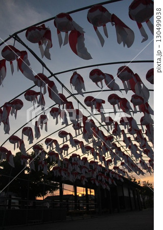 『金魚ちょうちん』白壁の町並み 山口県柳井市観光 『金魚ちょうちん』白壁の町並み 山口県柳井市観光 130499038