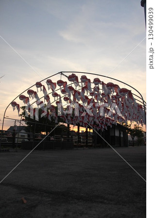 『金魚ちょうちん』白壁の町並み  山口県柳井市観光 130499039