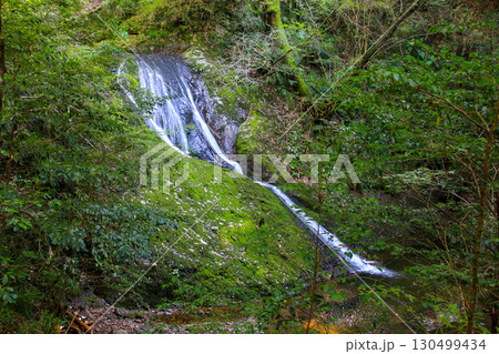 阿寺の七滝 130499434