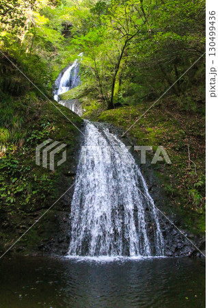 阿寺の七滝 130499436