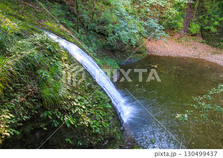 阿寺の七滝 130499437