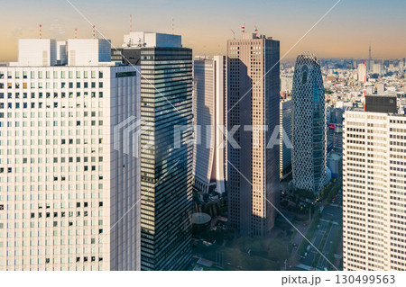 超高層ビルが林立する未来都市イメージ（新宿副都心(都庁から北東方向)の高層ビル街）2018/8/25 130499563