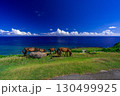 東崎展望台(与那国島) 東崎展望台(与那国島) 130499925