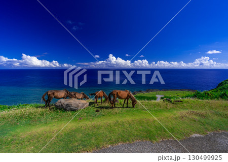 東崎展望台(与那国島) 東崎展望台(与那国島) 130499925