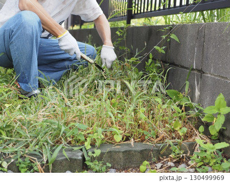 鎌を持って庭の草刈りをする男性 130499969
