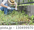 庭の草刈り 130499970