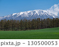 岩手県/ 残雪の白と緑と青空のコントラストが美しい春の岩手山 岩手県/ 残雪の白と緑と青空のコントラストが美しい春の岩手山 130500053