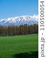 岩手県/ 残雪の白と緑と青空のコントラストが美しい春の岩手山 岩手県/ 残雪の白と緑と青空のコントラストが美しい春の岩手山 130500054
